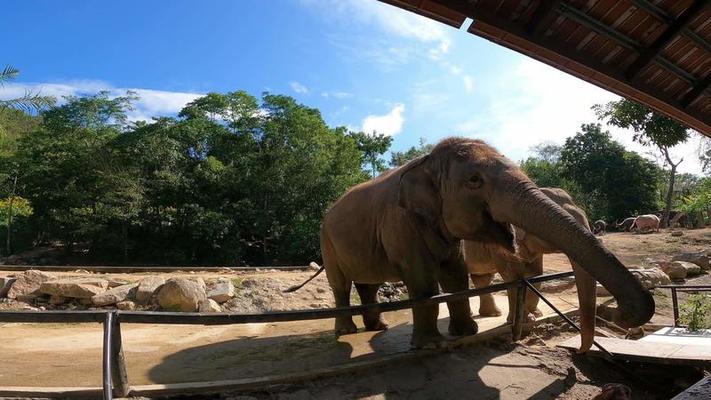 動物園影片