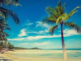 Beautiful tropical beach and sea with coconut palm tree photo