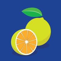 Lemon vector illustration