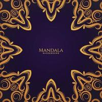 Beautiful mandala design modern  decorative luxury background vector