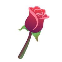una rosa roja colorida del vector en estilo hermoso aislado en el fondo blanco. tarjeta de san valentin. amor, romance icono de citas. flor del jardín. invitación romántica. símbolo de regalo. boda, aniversario, cumpleaños