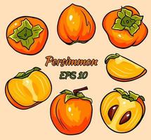 Set of bright vector drawings of persimmon.