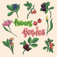 Set of cartoon flowers. Berries and flowers icons. vector