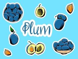 Set of vector illustrations depicting plums.