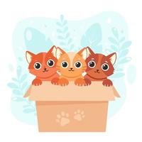 adoptar una mascota. lindos gatitos en la caja. ilustración vectorial en estilo plano. vector