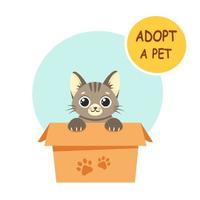 Adopt a pet. Cute kitten in the box. Vector illustration in flat style.