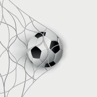 Balón de fútbol en una red de portería de fútbol sobre un fondo blanco - vector