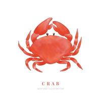 Watercolor crab on white background. Digital paint. Vector illustration.