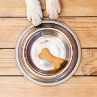 Dog with food bowl and bone photo
