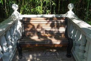 Park bench and trees at the Park of Southern Cultures in Sochi, Russia photo