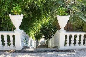 Brick sidewalk, steps, and trees at a park in Sochi, Russia photo