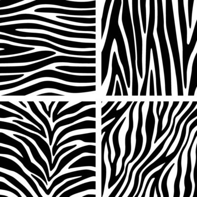 Zebra Skin Lines Pattern Print Animal Stripes Background set