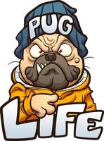 Cartoon pug dog vector