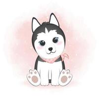 Siberian Husky dog animal illustration vector