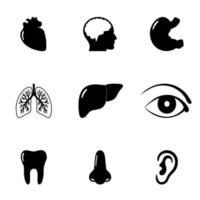 conjunto de iconos médicos. corazón, cerebro, estómago, pulmones, hígado, ojo, diente, nariz y oído vector
