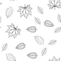 Seamless pattern with leaves in line style. Maple, oak, birch, alder leaves. Plants of the middle zone. Vector isolated on white background.