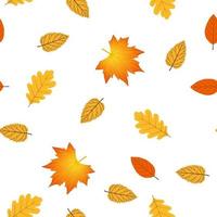 Seamless pattern with autumn leaves. Maple, oak, birch, alder leaves. Plants of the middle zone. Vector isolated on white background. Yellow-red tones.