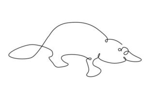 Platypus one line. Australian platypus in outline. vector