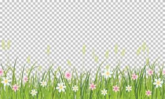 frontera de hierba y flores de primavera, elemento de decoración de tarjeta de felicitación de pascua, ilustración aislada sobre fondo transparente vector