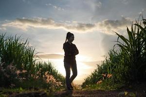 Agricultor silueta de mujer de pie en la plantación de caña de azúcar en el atardecer