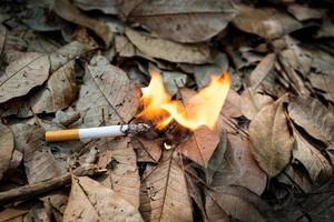 Cigarette butt carelessly thrown into dry leaves, smoking