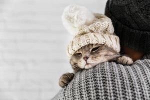 Copy space cute cat wearing fur cap on owner's shoulder photo