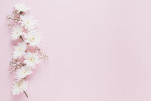 Pink flowers background photo
