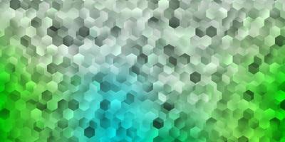 Light green vector backdrop with a batch of hexagons.