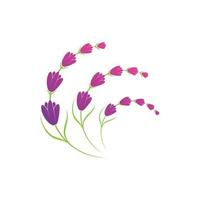 plantilla de símbolo de logotipo de flor de lavanda vector