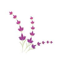 Lavender flower logo symbol template vector