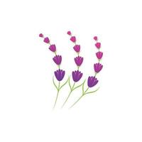 plantilla de símbolo de logotipo de flor de lavanda vector