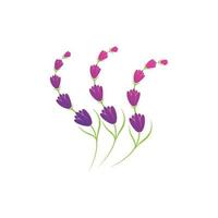 Lavender flower logo symbol template vector