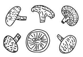 Mushrooms products. Vector illustration.