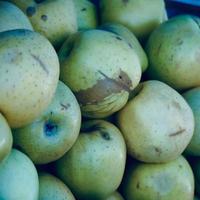 Green apple fruit, healthy and tasty food photo