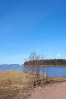 la costa del mar Báltico en Finlandia en la primavera en un día soleado. foto