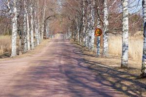 abedules a lo largo de la carretera y una señal de límite de velocidad de 30 kilómetros por hora. foto