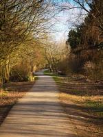 Path through trees in dappled sunlight in autumn photo