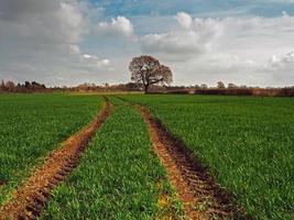 Tractor tracks through a cultivated field photo
