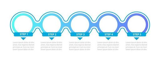 Círculos de color azul pasos vector plantilla de infografía