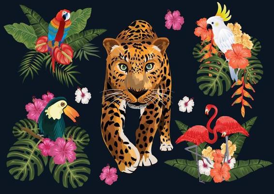 Tropical paradise elements isolated. Leaves, fruits and birds.