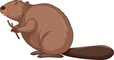 Beaver cartoon character isolated on white background vector