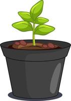 Close up view of plant in a pot isolated vector