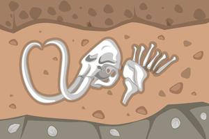 Underground soil with mammoth fossils vector