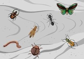 Top view of different types of insect vector