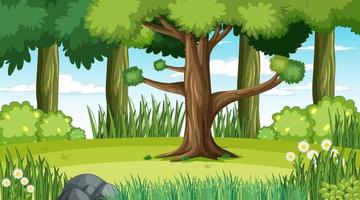 Forest landscape scene at day time vector