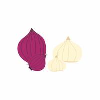 Flat design icons for red onion garlic. Fresh delicious vegan diet vegetarian products, wholesome healthy food, cooking ingredients. Vector illustration isolated on white background