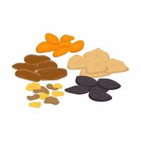 Mix of dried fruits nuts and seeds isolated on a white background. Vegetarian, healthy organic food concept. Vector icon illustration of natural sweets in cartoon flat style.