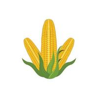 Realistic corn design illustration vector