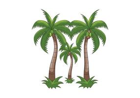 diseño de dibujos animados de ilustración de árboles de coco vector
