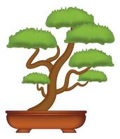 árbol bonsai en un vector de fondo blanco